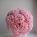 ���� ��������, ����� - ��������� 8 ������� 2013 � ������ ������� ������!�