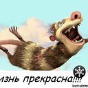 ���� �������, ������, 49 ��� - ��������� 12 ������ 2013 � ������ ���� ����������