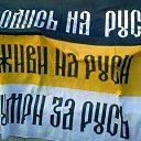 ���� �������, ������, 36 ��� - ��������� 15 ������ 2013 � ������ �������� ��������