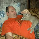  , -, 51  -  15  2014