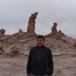 , 65, 