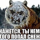 ���� �����, �����, 50 ��� - ��������� 12 ������ 2014 � ������ ���� ����������