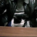 ���� �������, ��������, 48 ��� - ��������� 28 ������� 2013