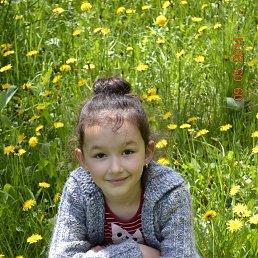 ���� ��������, ����, 21 ��� - ��������� 8 ������� 2014