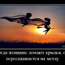 ���� ����, ����������, 45 ��� - ��������� 19 ������ 2014 � ������ ���� ����������