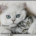  , , 47  -  15  2013   .....