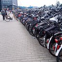 ������ ��������� �� ������� ���� ����������