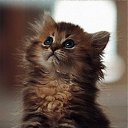  ,  -  27  2013      -2