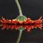 ���� �������, �����-��������� - ��������� 10 ����� 2014