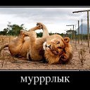 ���� ����, ������� ��������, 44 ���� - ��������� 17 ������� 2013 � ������ ���� ����������
