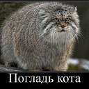 ���� �������, ����� - ��������� 6 �������� 2013 � ������ ���� ����������