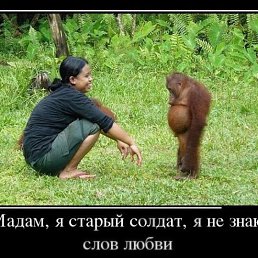 ���� ���������, ������, 55 ��� - ��������� 18 ������� 2013