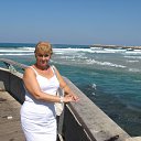 ���� ���������, ��������� - ��������� 11 ������� 2013 � ������ ������� 2013�