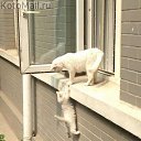 - ,   ...!   ,  ...!