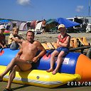  , -, 53  -  29  2013    2013 . 