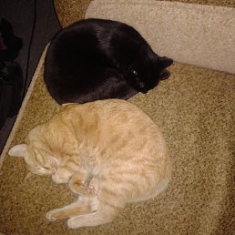 ���� ������, ���, 39 ��� - ��������� 3 ������� 2013