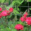 ���� ����, ����� - ��������� 3 ����� 2014 � ������ ������ ��������