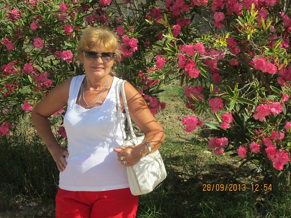  : .. -  , 67 , -