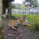 ���� ���������, ���������, 57 ��� - ��������� 8 ������ 2014 � ������ ���� ����������