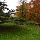 v parke �� ������� ���� ����������