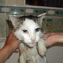 ���� &bull;&deg; ������ &deg;&bull;, ������ - ��������� 1 ������� 2013 � ������ ���� ����������