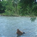 ���� ����, ������, 52 ���� - ��������� 14 ������� 2013