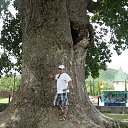 ���� �����, ���������, 64 ���� - ��������� 24 ������ 2013