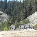 ���� Alexey, ������, 52 ���� - ��������� 23 �������� 2013 � ������ ���� ����������