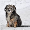 ���� �p��, ������, 25 ��� - ��������� 28 ������� 2013 � ������ �1�