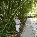 ���� �������, ������������ - ��������� 12 ������� 2013 � ������ ���� ����������