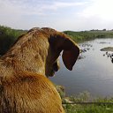 ���� �� ������� ���� ����������