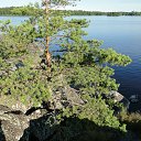  , -, 59  -  27  2013    2