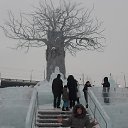 ���� ����, ����, 50 ��� - ��������� 13 ������ 2014 � ������ ���� ����������