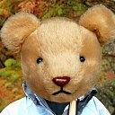 ���� ����, �����-���������, 37 ��� - ��������� 28 ������� 2014