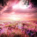 ���� ��������, ������, 57 ��� - ��������� 20 ������� 2014 � ������ ������ ��������