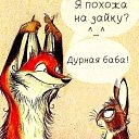 ���� �����, �����-���������, 48 ��� - ��������� 13 �������� 2013 � ������ ���� ����������