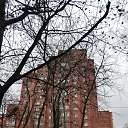 ���� ���������, ���������������, 61 ��� - ��������� 31 ������ 2014 � ������ ������