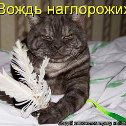 ���� ���, ������, 22 ���� - ��������� 30 ������ 2013