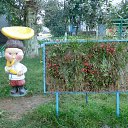 ���� ���������, ���������������, 61 ��� - ��������� 1 ������� 2014 � ������ ������