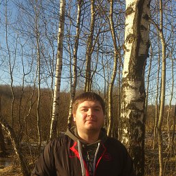 ���������, ������, 41 ���