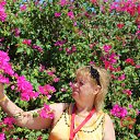 ������ . �� ������� ���� ����������