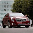 ���� �������, �����������, 36 ��� - ��������� 25 �������� 2013
