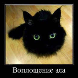 ���� ����, �����, 42 ���� - ��������� 18 ������� 2013