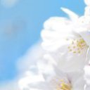 ���� �����, ���� - ��������� 26 ������� 2014 � ������ ���� ����������