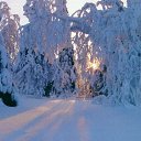 ���� �����, ������ - ��������� 9 ������ 2014 � ������ ��������