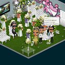 ���� Meow, ������ - ��������� 29 ������� 2013 � ������ �Tropikania�