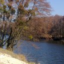 ���� Tarik, ���� - ��������� 11 ����� 2014 � ������ ���� ����������