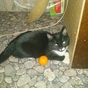 ���� Aleksey, �����-���������, 37 ��� - ��������� 12 ������ 2014 � ������ ���� ����������