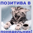 ���� �������, ��������, 46 ��� - ��������� 2 ����� 2014