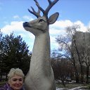 ���� �����, ���������� - ��������� 25 ������� 2013 � ������ ���� ����������